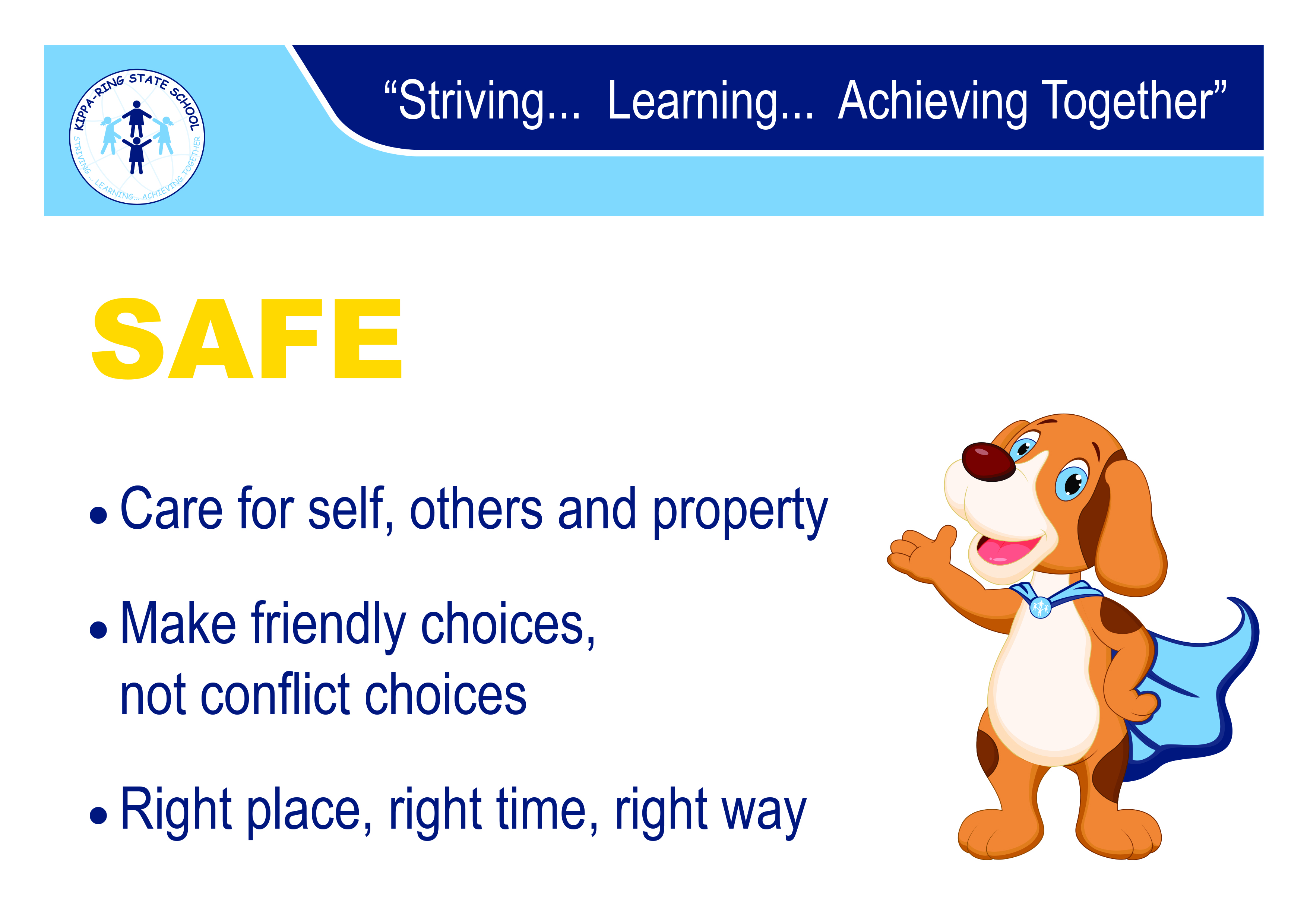 KRSS Values SAFE.jpg